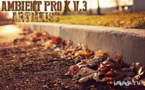  Ambient Pro X v.3 (2014) 
