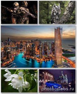  Best HD Wallpapers Pack 1262 