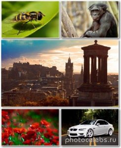  Best HD Wallpapers Pack 1298 