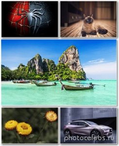  Best HD Wallpapers Pack 1365 