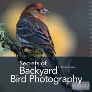  Secrets of Backyard Bird Photography 