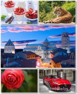 Best HD Wallpapers Pack 1370 