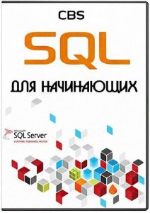  SQL   (2013)  
