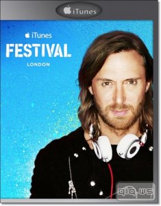  David Guetta: iTunes Festival London (2014/WEB-DL 1080p) 