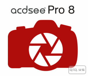  ACDSee Pro 8.0 Build 263 Final + Rus (86/x64) 