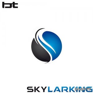  BT - Skylarking 070 (2015-01-06) 