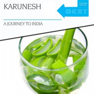 Karunesh - A Journey to India (2015) 