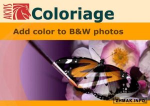  AKVIS Coloriage 9.5.1062.10402 (x86/x64) 