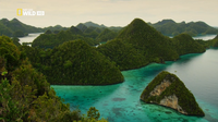     / National Geographic: Wild Indonesia [1-3   3] (2014) HDTVRip 720p 