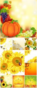  Autumn vector background, pumpkins and sunflowers 