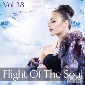  Flight Of The Soul Vol.38 (2015) 