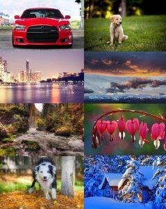  Wallpapers Mix №298 