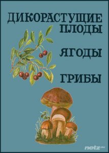  Дикорастущие плоды, ягоды, грибы 