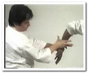  Айкидо - базовая техника - Aikido - 7th Dan Yoshimitsu Yamada - The Power and the Basics 