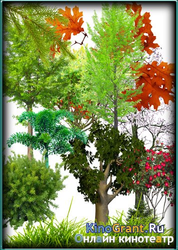 Большая колекция Клипартов - Деревья, растения, кусты