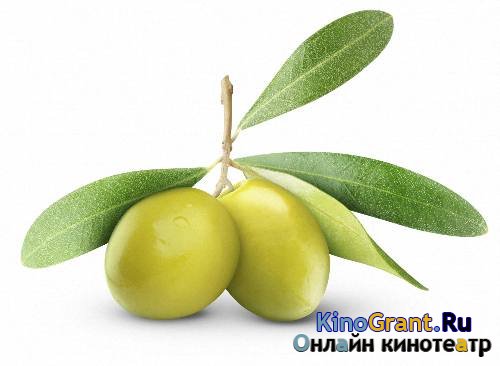 Png для дизайна - Черные и зеленые оливки и маслины
